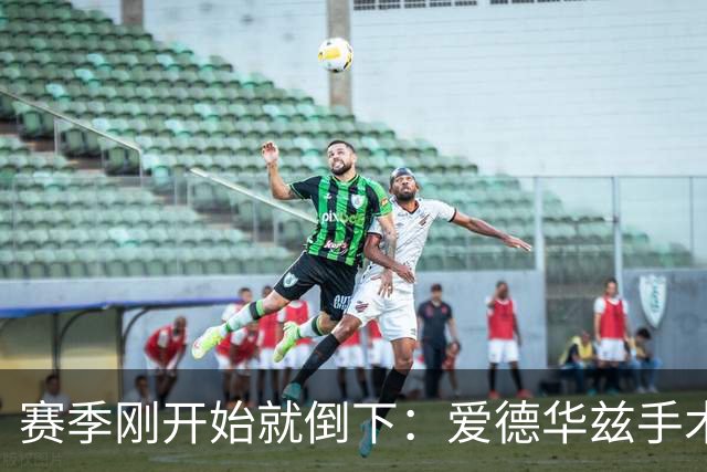 赛季刚开始就倒下：爱德华兹手术，雷霆两将同日重伤